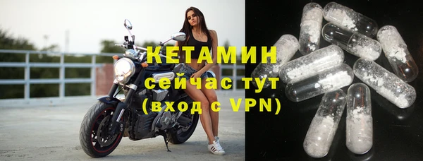 прущие грибы Баксан
