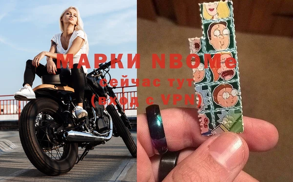 прущие грибы Баксан