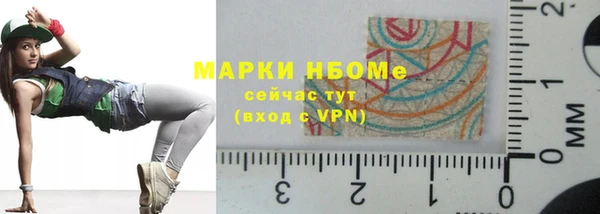 прущие грибы Баксан