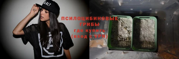 прущие крисы Белокуриха