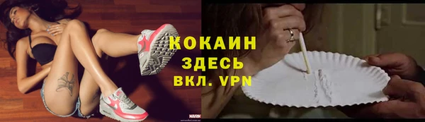 прущие грибы Баксан