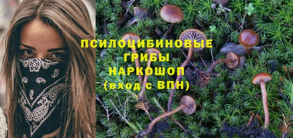 крисы Билибино