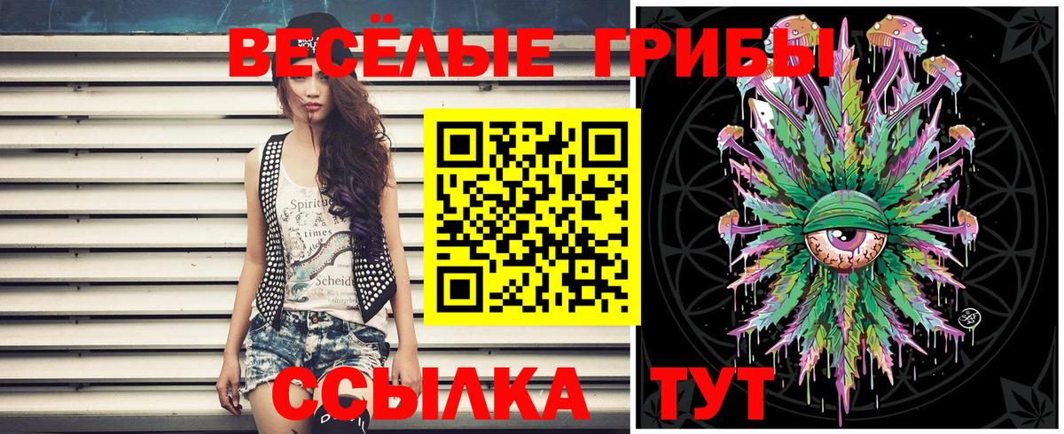 Галлюциногенные грибы прущие грибы  Вязники 