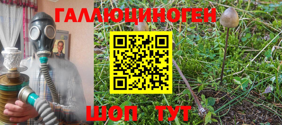 Галлюциногенные грибы MAGIC MUSHROOMS Вязники