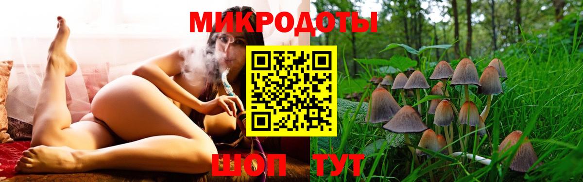где купить наркоту  Галлюциногенные грибы GOLDEN TEACHER  Вход с VPN  Вязники 